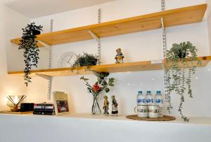 a shelf with bottles of water and plants on it at Archway Station Big Bedroom Flat in London