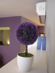 una flor púrpura en una olla blanca en un mostrador en Casa Chema I - Apartamento/Parking/Piscina/Playa, en Cala del Moral
