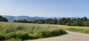 einen Weg durch ein Feld mit Bergen im Hintergrund in der Unterkunft Ferienwohnung Direkt Oberhof in Murg