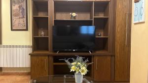 a television in a entertainment center with a vase of flowers at Casa gorgona in León