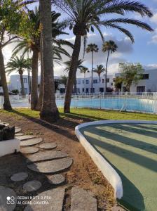un parque con palmeras y una piscina en Alojamiento Playa Centro Corralejo 16 en Corralejo