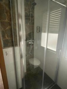a bathroom with a shower with a toilet in it at Apartamento Suite Córdoba in Córdoba