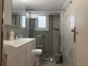 a bathroom with a shower and a toilet and a sink at Adelais in Piraeus