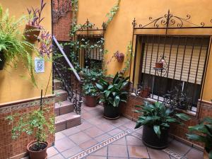 Zahrada ubytování Apartamento tranquilo e ideal para parejas, con bonitas vistas de Toledo y fantàstica ubicación + 9 fotografií
