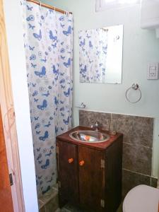 y baño con lavabo y ducha. en Reposo del Huasamayo en Tilcara