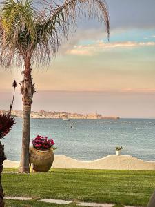 a palm tree and a flower pot on the beach at Villa Incanto on the Sea in Syracuse