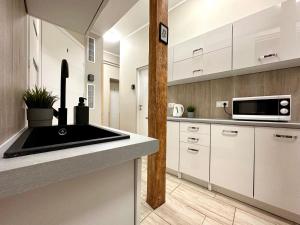 uma cozinha com um lavatório e um micro-ondas em MMRent Shadow Room em Gdansk