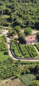 una vista aérea de una casa y una carretera en T-A APARTMENT en Rijeka Crnojevića
