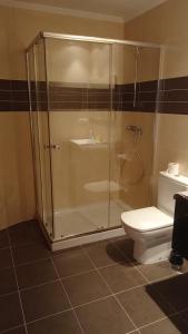 a bathroom with a shower and a toilet at Apartamento Vistas a ensenada in Meaño