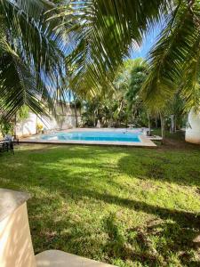 un patio con piscina y palmeras en Beautiful Apartment surrounded by nature w/Pool, en Cancún