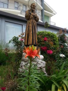 Zahrada ubytování Hotel Pegaso