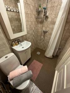 a bathroom with a toilet and a sink and a shower at Sadama Apartement Haapsalu in Haapsalu