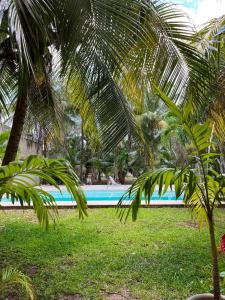 una piscina con palmeras frente a ella en Beautiful Apartment surrounded by nature w/Pool, en Cancún