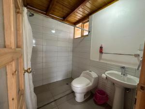 Chaupi的住宿－Ilinizas Mountain Lodge，一间带卫生间和水槽的浴室