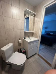 a bathroom with a toilet and a sink and a mirror at Kati Söögituba & Majutus in Emmaste