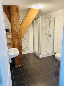 a bathroom with a shower and a sink and a toilet at Verblijf bij Bynt in Sneek