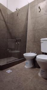 W łazience znajduje się toaleta, prysznic i umywalka. w obiekcie Temporario Jujuy Campo w mieście Lozano
