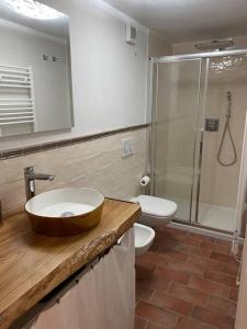 a bathroom with a sink and a toilet and a shower at Rivolta home in Buti