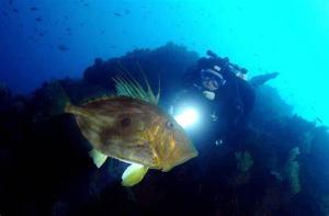 un hombre tomando una foto de un pez en el océano en Casa 4Estacions Palamós 3a linia Port Marina-Camí de Ronda - pàrquing, en Palamós