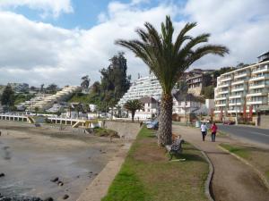 eine Palme und eine Bank neben einem Strand in der Unterkunft Departamento Frente al Mar in Concón