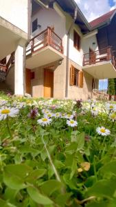 a house with a field of flowers in front of it at Krupa na Vrbasu - Krupski raj in Banja Luka