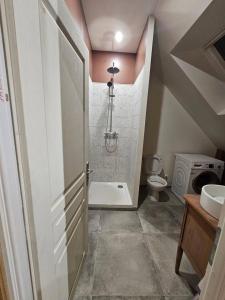 a bathroom with a toilet and a sink at Ma p'tite cabane in Neufmarché