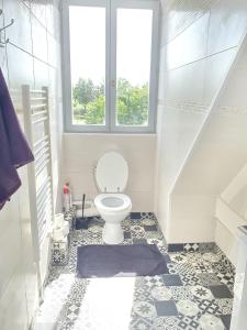 a bathroom with a toilet and a window at BELLE MAISON A Ménars in Menars