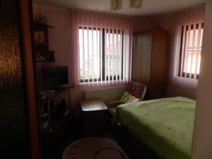 1 dormitorio con 1 cama, 1 silla y ventanas en Villa Blacky en Cluj-Napoca