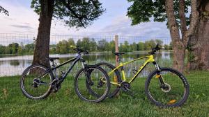 two bikes parked next to a tree next to a lake at Auksi puhkemaja-1 in Auksi