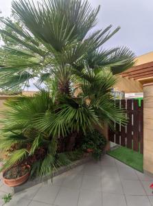 a palm tree in a courtyard with a building at VILLA LORETTA in Torre dell'Orso +29 photos