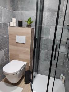 a bathroom with a toilet and a shower at Moderní byt v rodinném domě s bazénem a zahradou in Jablonec nad Nisou