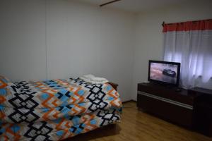 - une chambre avec un lit et une télévision à écran plat dans l'établissement Silvia's house, à Ushuaia