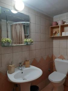 a bathroom with a sink and a toilet and a mirror at Theros Apartment in Spartokhórion