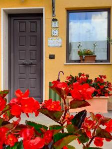 uma porta de uma casa com flores vermelhas e uma janela em La casetta di Simone em Cassino