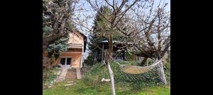 Fotografie z fotogalerie ubytování Exit vila v destinaci Sremska Kamenica + 10 fotografií