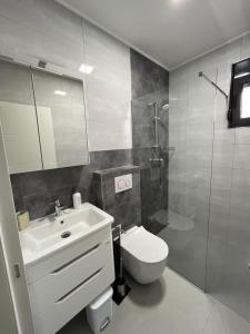a bathroom with a toilet and a sink and a shower at Miran San in Donji Štoj