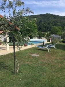 a garden with a tree and a swimming pool at Escapade Vallée du Doux in Tournon-sur-Rhône