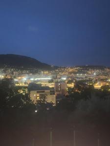 - une vue sur la ville la nuit avec des lumières dans l'établissement Appartement 02 Vue Panoramique -WIFI- Parking privé -NICE, à Nice