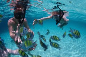 two people in the water looking at fish at Santai Hotel in Amed