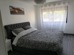 Bett in einem Schlafzimmer mit Fenster in der Unterkunft La Galène chambre chez l'habitant in Illkirch-Graffenstaden