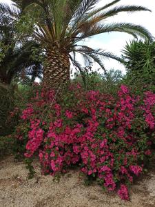 Serranovaにあるvilla Beatriceのギャラリーの写真