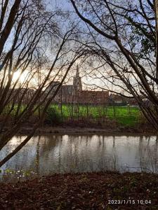 Wavrans-sur-lʼAaにあるStudio du giteの教会と木々が茂る川の景色