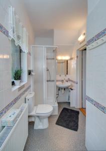 La salle de bains est pourvue de toilettes, d'une douche et d'un lavabo. dans l'établissement Penzion U zámeckého parku, à Třeboň