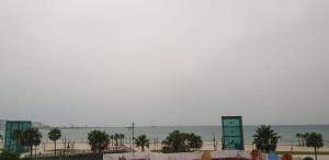- une vue sur la plage bordée de palmiers et l'océan dans l'établissement Studio Apartment By The Beach, à Tanger