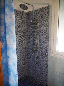 bagno con doccia e porta in vetro di Dimitris apartment a PalaiónTsiflíkion
