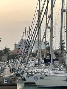 Foto Canet d'en Berengueris asuva majutusasutuse Exceptional Apartment in Gran Canet 9th floor with sea view and private garage galeriist