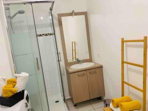 a bathroom with a sink and a shower with a mirror at Bel appartement terrasse+jardin in La Courneuve