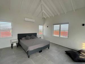 a bedroom with a bed and two windows at Villa Vista Montaña in Willemstad