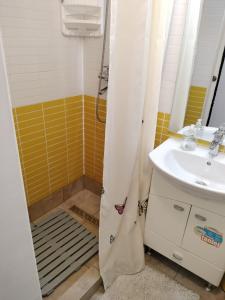 La petite salle de bains est pourvue d'un lavabo et d'une douche. dans l'établissement Apartament litoral, à Saturn
