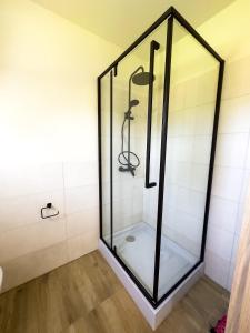 a shower with a glass enclosure in a bathroom at PRZYSTANEK G&S in Nickelswalde